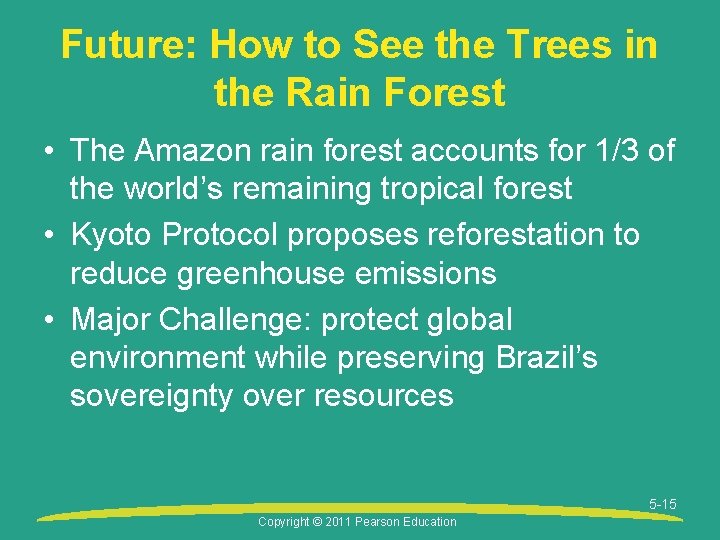 Future: How to See the Trees in the Rain Forest • The Amazon rain
