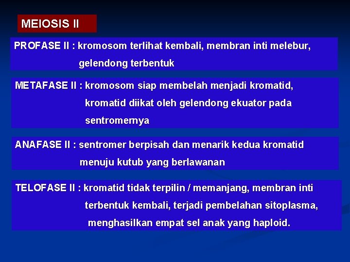 MEIOSIS II PROFASE II : kromosom terlihat kembali, membran inti melebur, gelendong terbentuk METAFASE