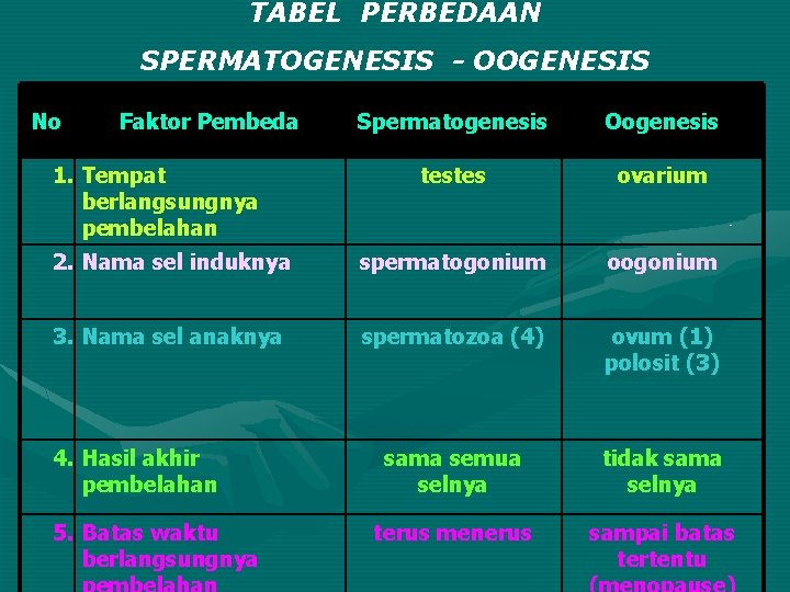 TABEL PERBEDAAN SPERMATOGENESIS - OOGENESIS No Faktor Pembeda Spermatogenesis Oogenesis testes ovarium 2. Nama