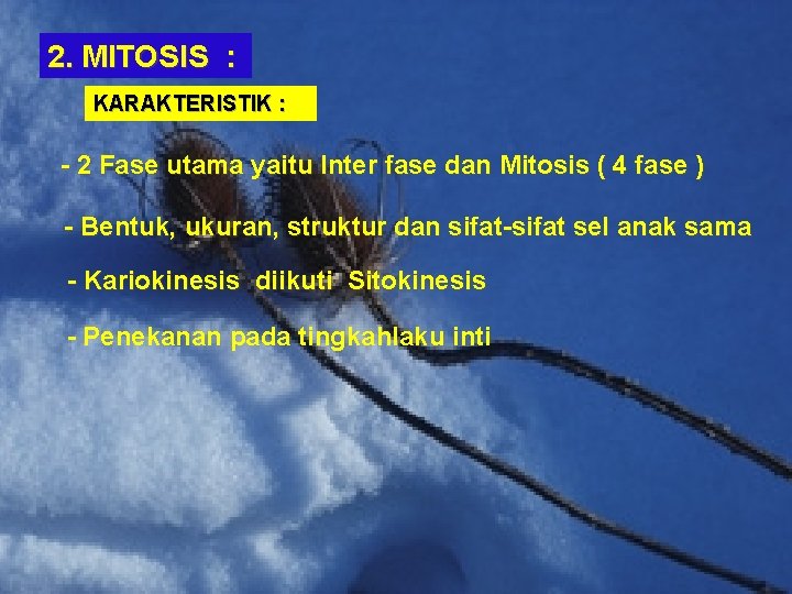 2. MITOSIS : KARAKTERISTIK : - 2 Fase utama yaitu Inter fase dan Mitosis