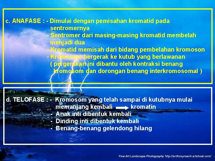 c. ANAFASE : - Dimulai dengan pemisahan kromatid pada sentromernya - Sentromer dari masing-masing