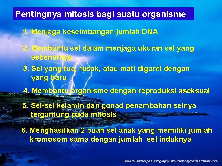 Pentingnya mitosis bagi suatu organisme 1. Menjaga keseimbangan jumlah DNA 2. Membantu sel dalam