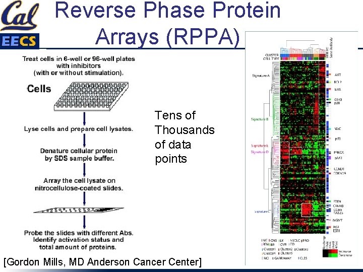 Reverse Phase Protein Arrays (RPPA) Tens of Thousands of data points [Gordon Mills, MD