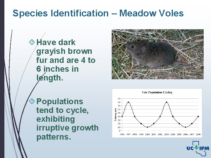 Species Identification – Meadow Voles Have dark grayish brown fur and are 4 to