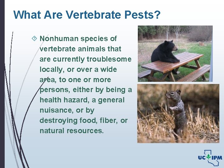 What Are Vertebrate Pests? Nonhuman species of vertebrate animals that are currently troublesome locally,