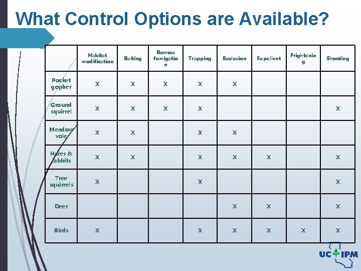 What Control Options are Available? Habitat modification Baiting Burrow fumigatio n Trapping Exclusion Pocket