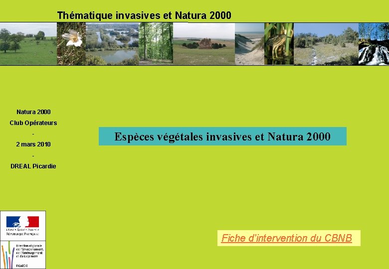 Thématique invasives et Natura 2000 Club Opérateurs 2 mars 2010 Espèces végétales invasives et