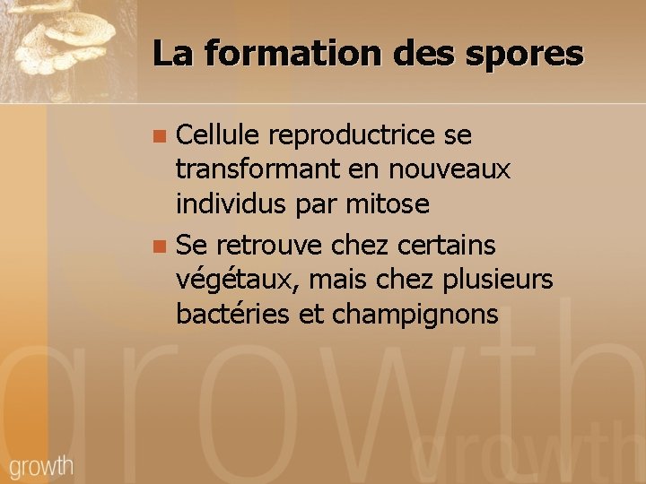 La formation des spores Cellule reproductrice se transformant en nouveaux individus par mitose n