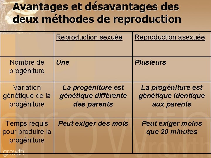 Avantages et désavantages deux méthodes de reproduction Nombre de progéniture Variation génétique de la