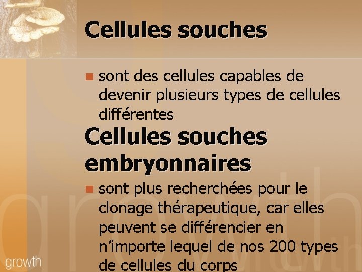 Cellules souches n sont des cellules capables de devenir plusieurs types de cellules différentes