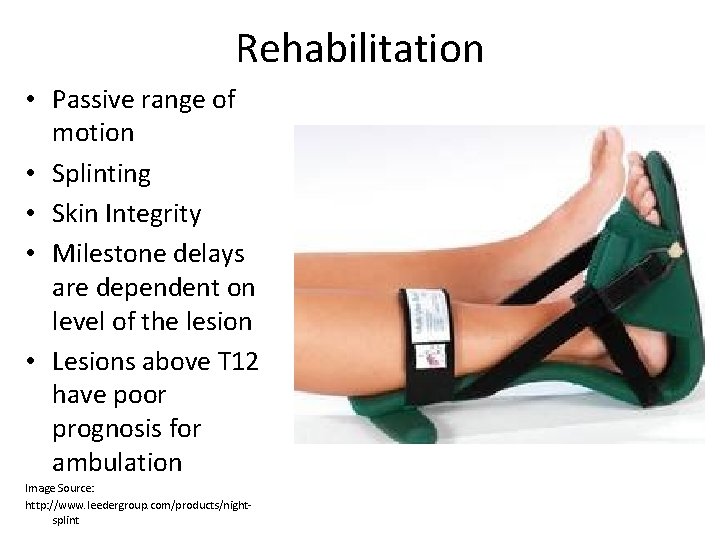 Rehabilitation • Passive range of motion • Splinting • Skin Integrity • Milestone delays