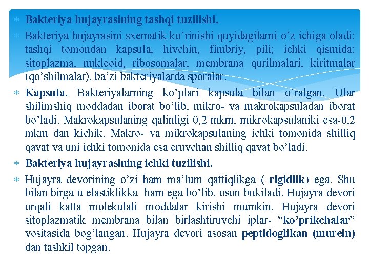 Bakteriya hujayrasining tashqi tuzilishi. Bakteriya hujayrasini sxematik ko’rinishi quyidagilarni o’z ichiga oladi: tashqi Bakteriya hujayrasining tashqi tuzilishi. Bakteriya hujayrasini sxematik ko’rinishi quyidagilarni o’z ichiga oladi: tashqi