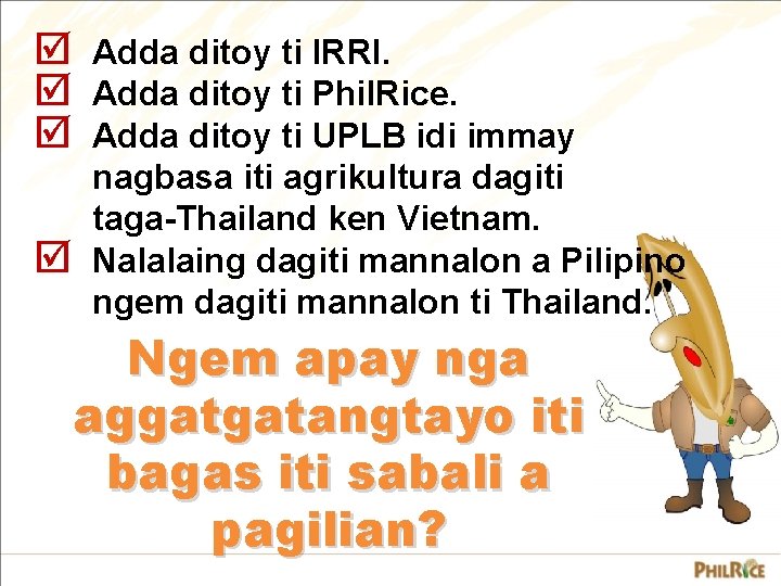 þ þ Adda ditoy ti IRRI. Adda ditoy ti Phil. Rice. Adda ditoy ti