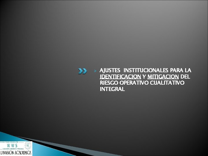 Ø AJUSTES INSTITUCIONALES PARA LA IDENTIFICACION Y MITIGACION DEL RIESGO OPERATIVO CUALITATIVO INTEGRAL 