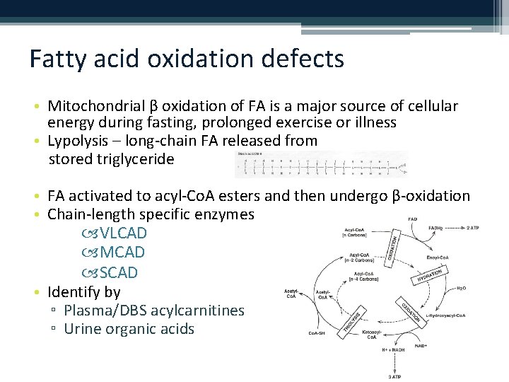 Fatty acid oxidation defects • Mitochondrial β oxidation of FA is a major source