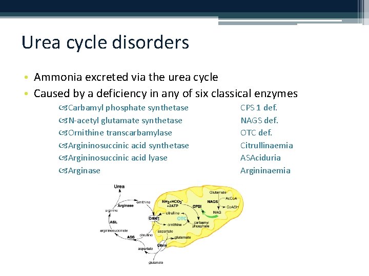 Urea cycle disorders • Ammonia excreted via the urea cycle • Caused by a