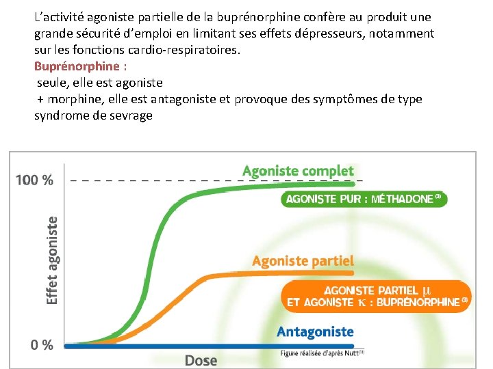 L’activité agoniste partielle de la buprénorphine confère au produit une grande sécurité d’emploi en L’activité agoniste partielle de la buprénorphine confère au produit une grande sécurité d’emploi en