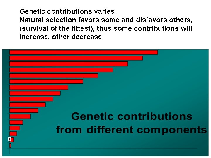 Genetic contributions varies. Natural selection favors some and disfavors others, (survival of the fittest),