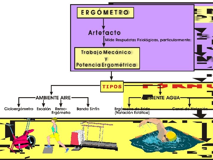 Copyright © 2016 Edgar Lopategui Corsino | Saludmed 