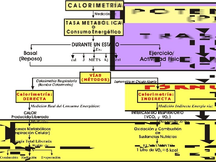 Copyright © 2016 Edgar Lopategui Corsino | Saludmed 