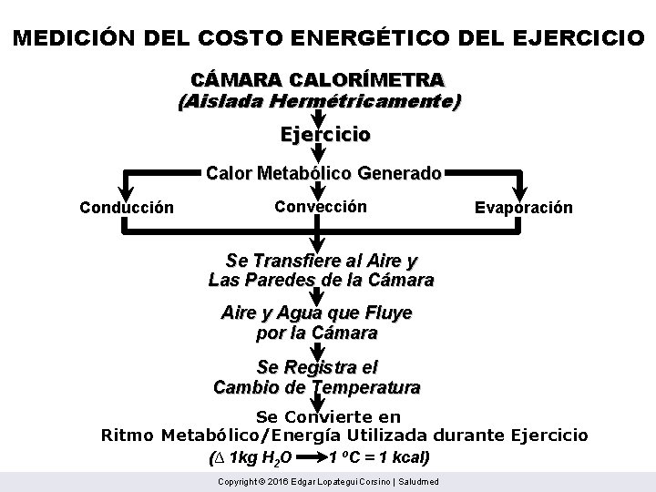 MEDICIÓN DEL COSTO ENERGÉTICO DEL EJERCICIO CÁMARA CALORÍMETRA (Aislada Hermétricamente) Ejercicio Calor Metabólico Generado