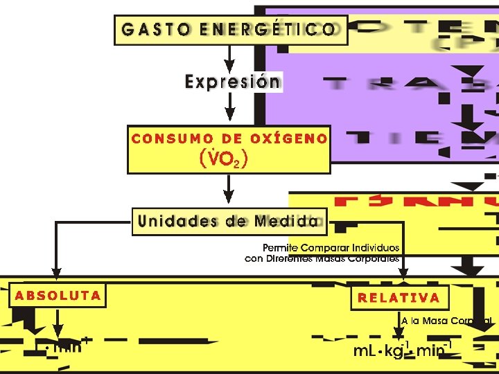 Copyright © 2016 Edgar Lopategui Corsino | Saludmed 