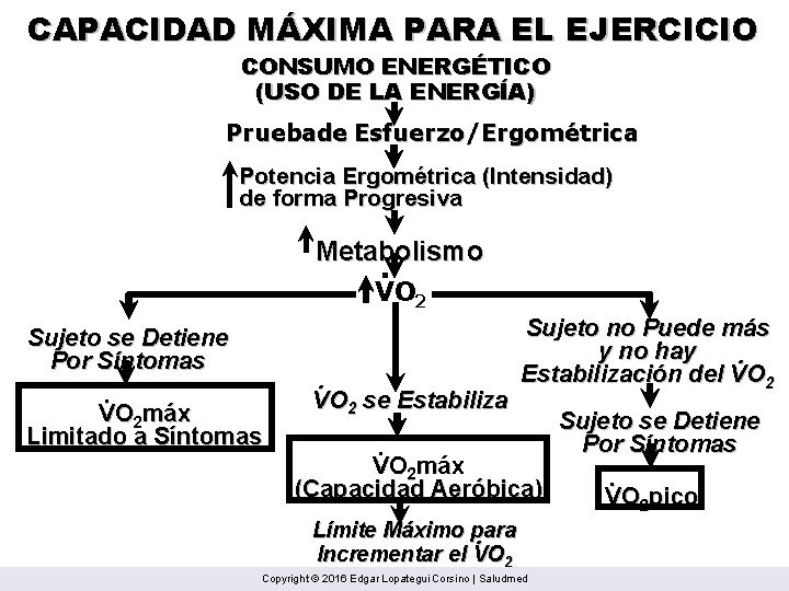 CAPACIDAD MÁXIMA PARA EL EJERCICIO CONSUMO ENERGÉTICO (USO DE LA ENERGÍA) Pruebade Esfuerzo/Ergométrica Potencia