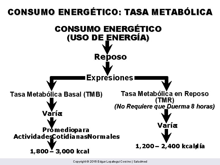 CONSUMO ENERGÉTICO: TASA METABÓLICA CONSUMO ENERGÉTICO (USO DE ENERGÍA) Reposo Expresiones Tasa Metabólica Basal