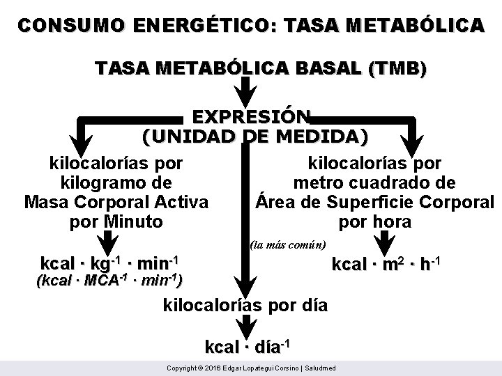 CONSUMO ENERGÉTICO: TASA METABÓLICA BASAL (TMB) EXPRESIÓN (UNIDAD DE MEDIDA) kilocalorías por kilogramo de