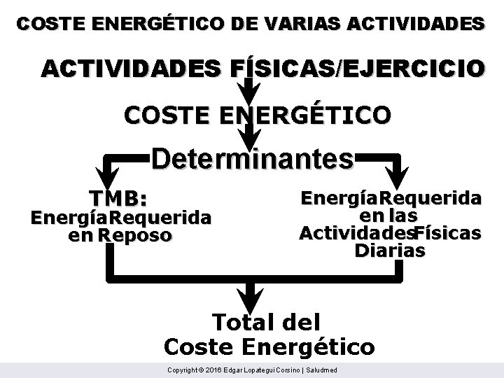 COSTE ENERGÉTICO DE VARIAS ACTIVIDADES FÍSICAS/EJERCICIO COSTE ENERGÉTICO Determinantes TMB: Energía. Requerida en Reposo