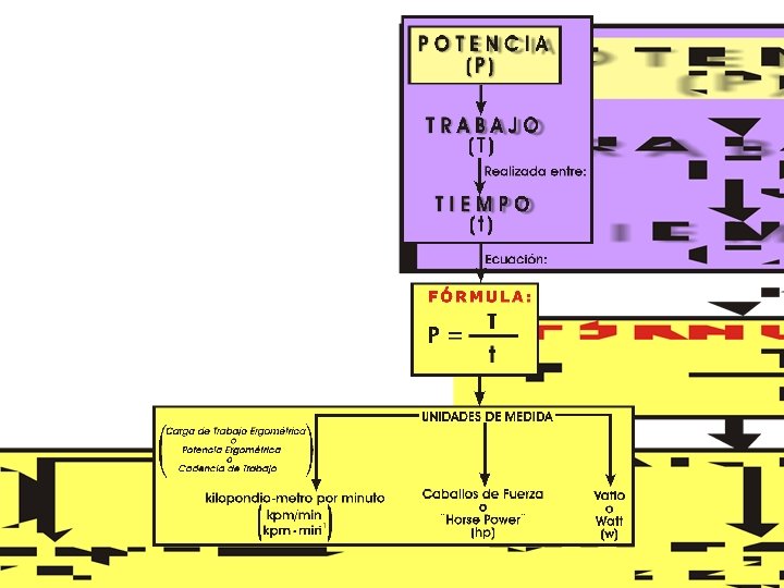 Copyright © 2016 Edgar Lopategui Corsino | Saludmed 