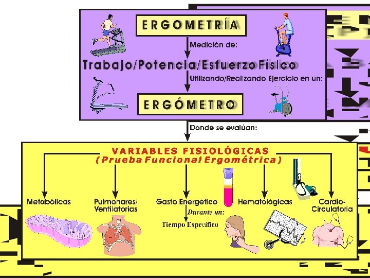 Copyright © 2016 Edgar Lopategui Corsino | Saludmed 