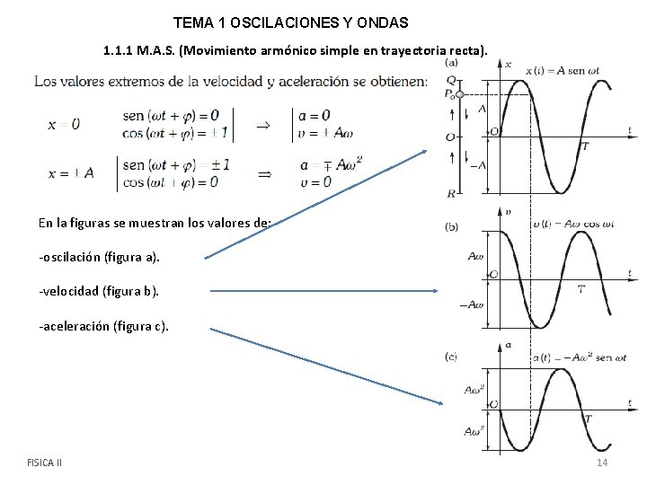 TEMA 1 OSCILACIONES Y ONDAS 1. 1. 1 M. A. S. (Movimiento armónico simple