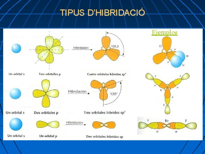 TIPUS D’HIBRIDACIÓ Ejemplos 