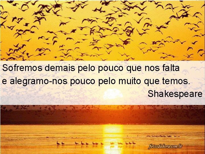 Sofremos demais pelo pouco que nos falta e alegramo-nos pouco pelo muito que temos. Sofremos demais pelo pouco que nos falta e alegramo-nos pouco pelo muito que temos.