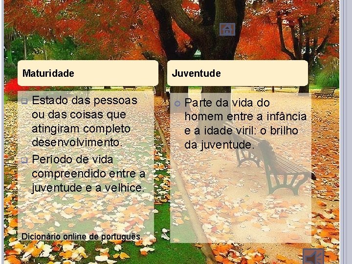 Maturidade Estado das pessoas ou das coisas que atingiram completo desenvolvimento. q Período de Maturidade Estado das pessoas ou das coisas que atingiram completo desenvolvimento. q Período de