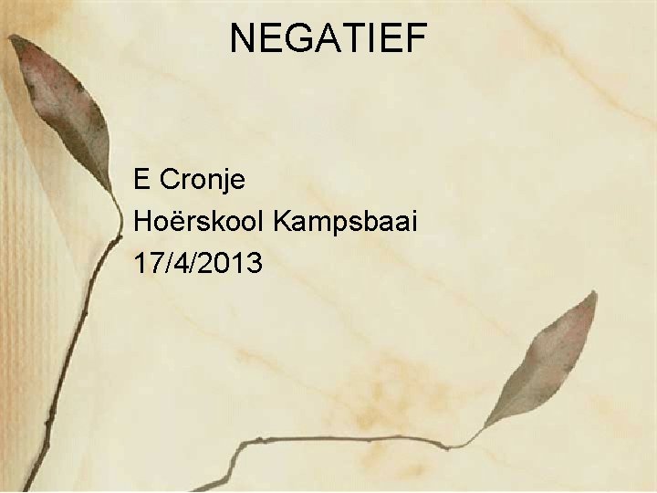 NEGATIEF E Cronje Hoërskool Kampsbaai 17/4/2013 