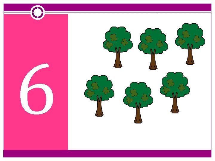 6 