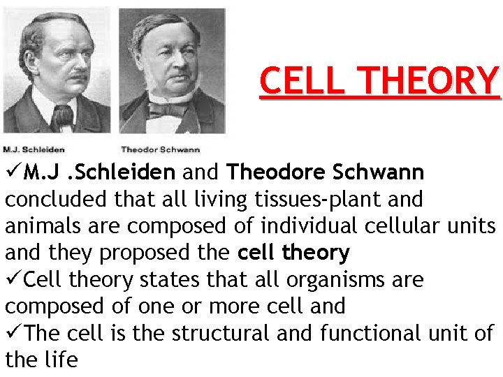 CELL THEORY üM. J. Schleiden and Theodore Schwann concluded that all living tissues-plant and