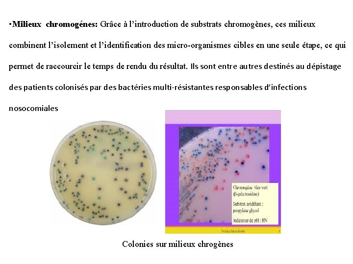  • Milieux chromogénes: Grâce à l’introduction de substrats chromogènes, ces milieux combinent l’isolement