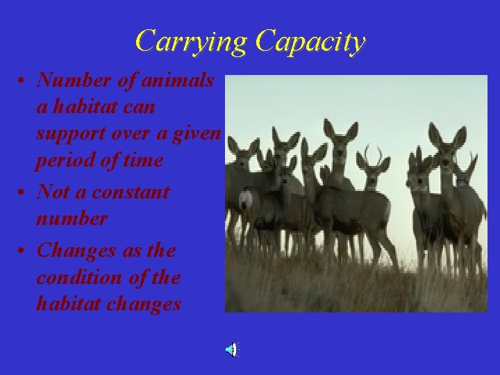 Carrying Capacity • Number of animals a habitat can support over a given period