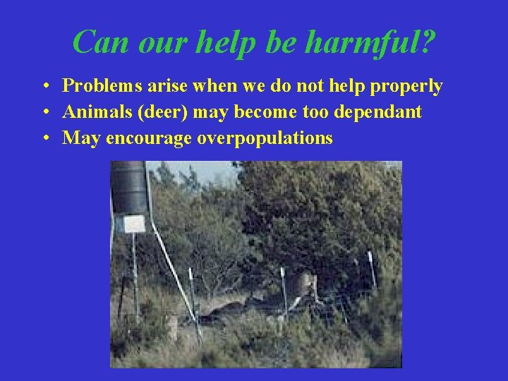 Can our help be harmful? • Problems arise when we do not help properly