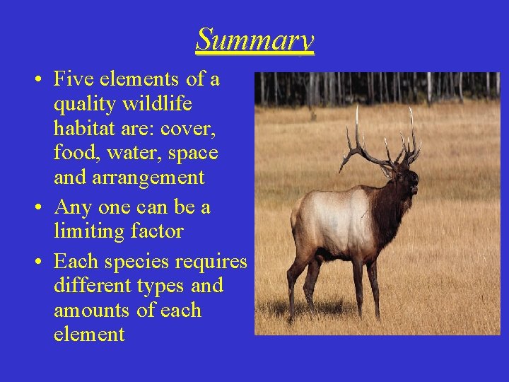 Summary • Five elements of a quality wildlife habitat are: cover, food, water, space