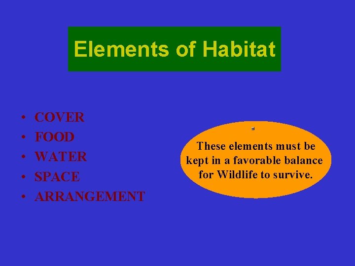 Elements of Habitat • • • COVER FOOD WATER SPACE ARRANGEMENT These elements must