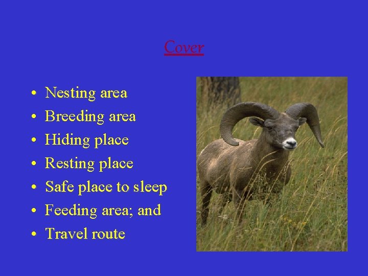 Cover • • Nesting area Breeding area Hiding place Resting place Safe place to