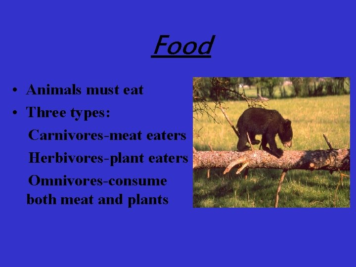 Food • Animals must eat • Three types: Carnivores-meat eaters Herbivores-plant eaters Omnivores-consume both