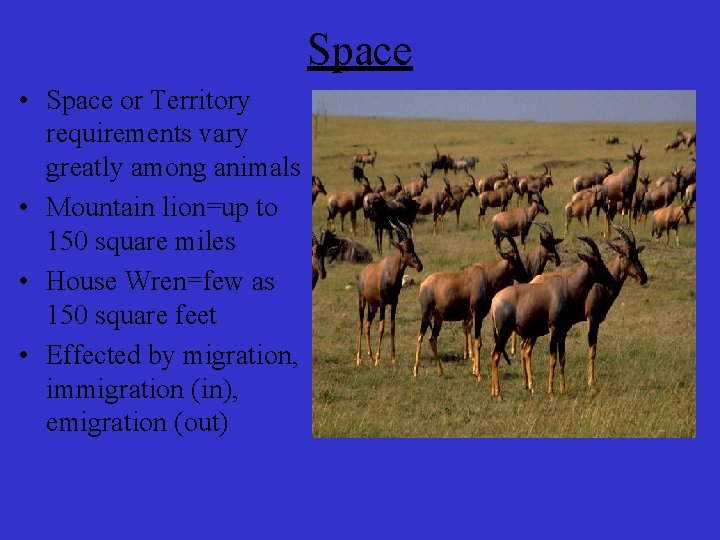 Space • Space or Territory requirements vary greatly among animals • Mountain lion=up to