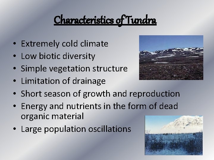 Characteristics of Tundra Extremely cold climate Low biotic diversity Simple vegetation structure Limitation of