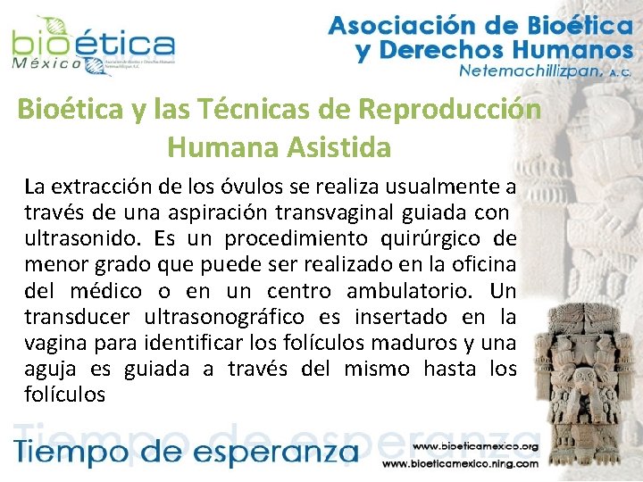 Bioética y las Técnicas de Reproducción Humana Asistida La extracción de los óvulos se