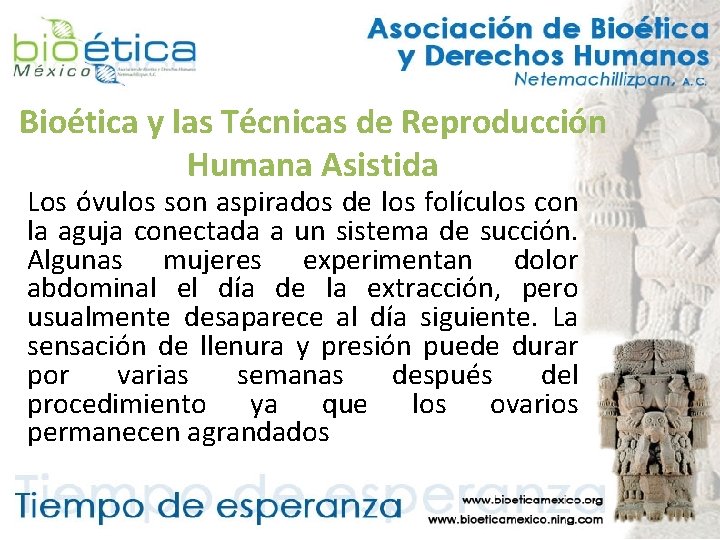 Bioética y las Técnicas de Reproducción Humana Asistida Los óvulos son aspirados de los